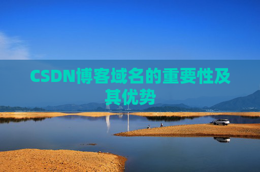 CSDN博客域名的重要性及其优势